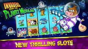 117apk Pasang Taruhan – tampilan kategori permainan dan fitur live betting di platform 117apk